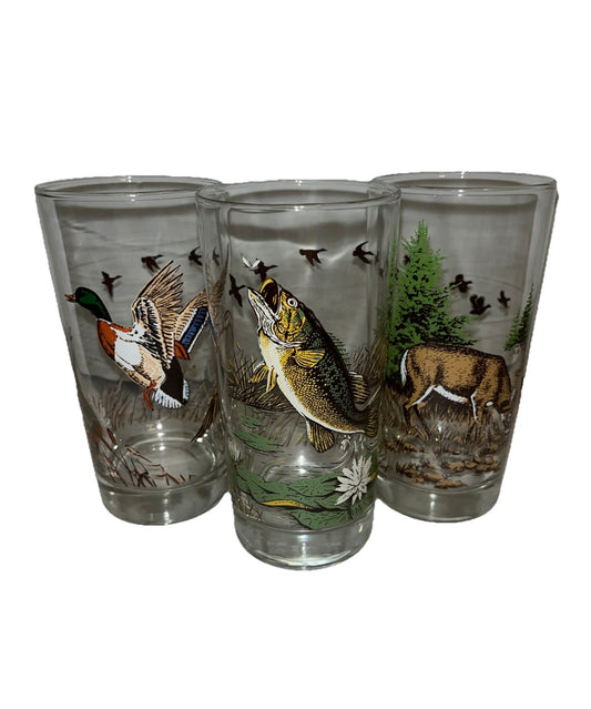 3 Wildlife Hunting Outdoor Glasses